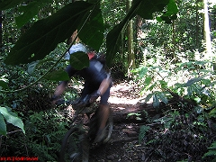 20080210-Bulli 104